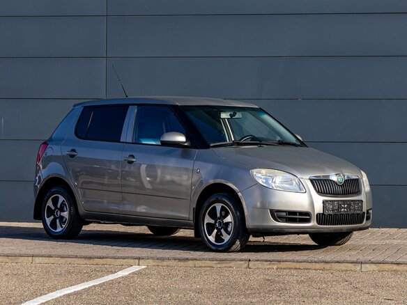 2008 Skoda Fabia II, серый, 795000 рублей - вид 6