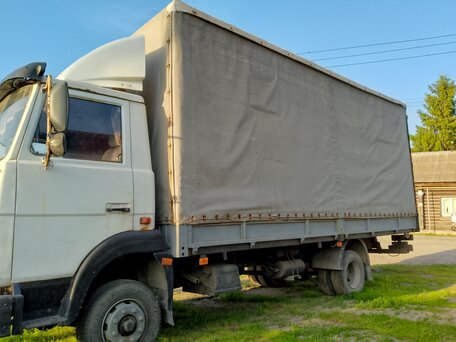 2004 МАЗ 4370, белый, 900000 рублей, вид 4