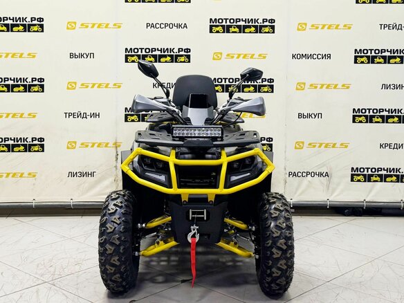2026 Bison ATV 250F, серый - вид 7