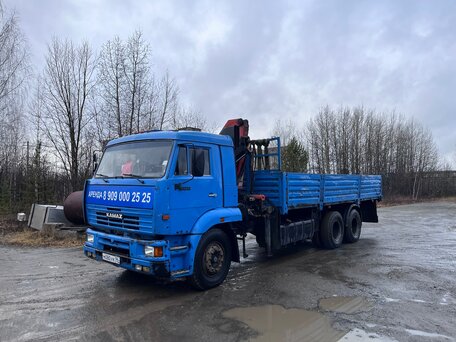 2007 КамАЗ 65117, синий, 2600000 рублей, вид 1