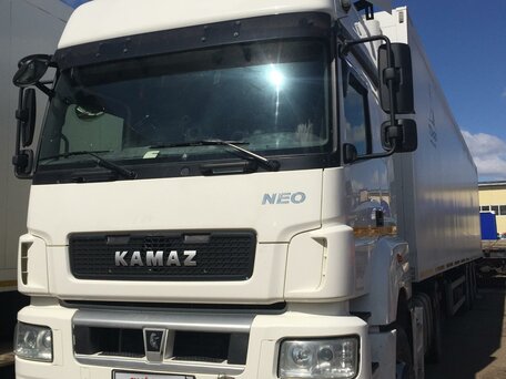 2019 КамАЗ 5490 NEO, белый, 4897000 рублей, вид 3