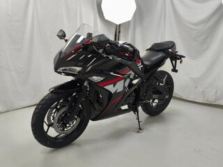 2026 Yamasaki Scorpion, чёрный, 177500 рублей, вид 1