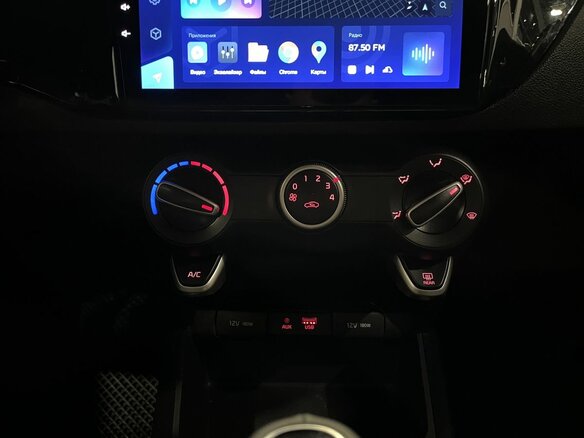 2018 Kia Rio X-Line IV, чёрный, 1355000 рублей - вид 14