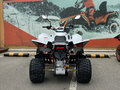 2026 Sym QuadRaider, белый, 261300 рублей - вид 4
