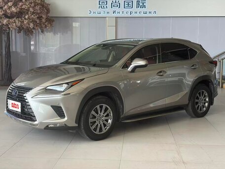 2021 Lexus NX 200 I Рестайлинг, бежевый, 2500000 рублей, вид 1