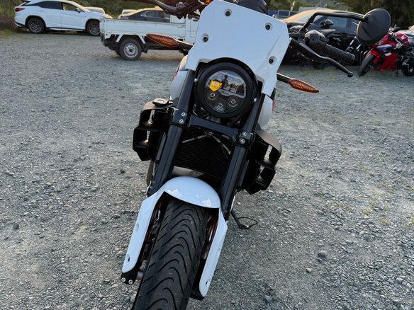 2023 Indian FTR 1200, белый, 1099000 рублей - вид 11
