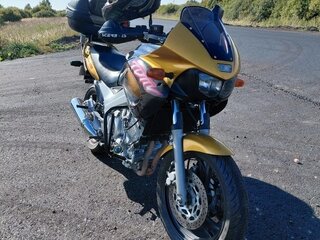 2000 Yamaha TDM850, золотистый, 330000 рублей, вид 4