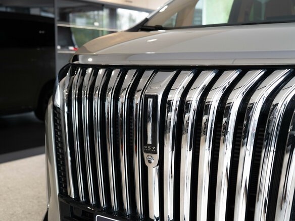 2024 Wey 80 37.96 kWh, золотистый - вид 7