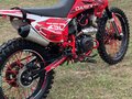 2025 Darex Alga 300, красный, 105000 рублей - вид 3