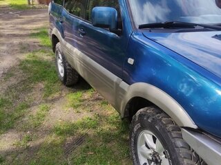 2001 Nissan Terrano II Рестайлинг 2, синий, 690000 рублей, вид 1