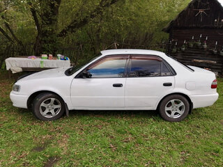 1998 Toyota Corolla VIII (E110) Рестайлинг, белый, 260000 рублей, вид 5