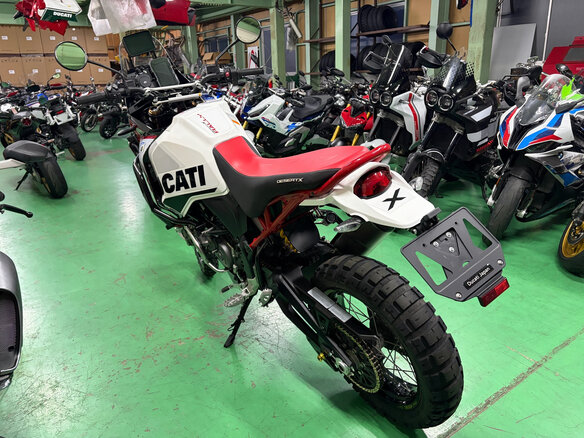2025 Ducati DesertX, белый - вид 10