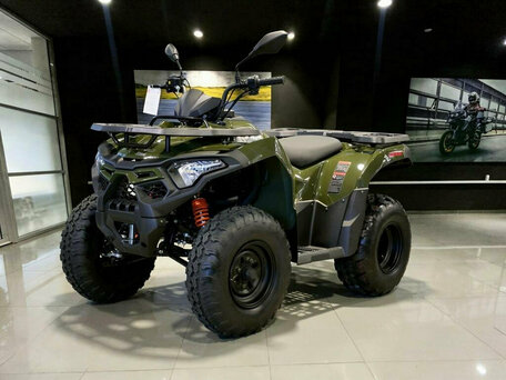 2026 Loncin XWolf 200, зелёный, 189900 рублей, вид 3