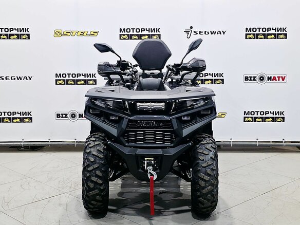 2026 Bizon YK250 LUX EFI, серый, 255000 рублей - вид 7