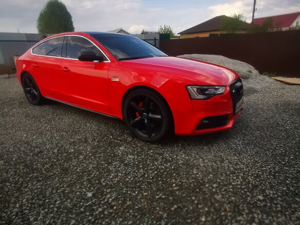 2011 Audi S5 I (8T) Рестайлинг, красный, 1690000 рублей - вид 11