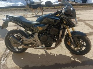 2008 Honda CB 600F Hornet, чёрный, 520000 рублей, вид 1