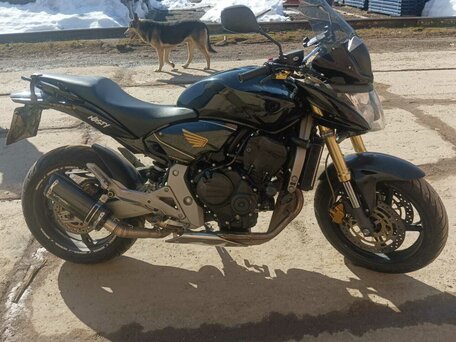 2008 Honda CB 600F Hornet, чёрный, 520000 рублей, вид 1