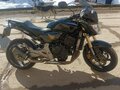 2008 Honda CB 600F Hornet, чёрный, 520000 рублей