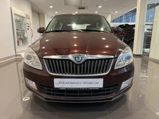2010 Skoda Fabia II, красный, 610000 рублей, вид 5