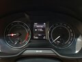 2016 Skoda Octavia Scout III (A7), серый - вид 7