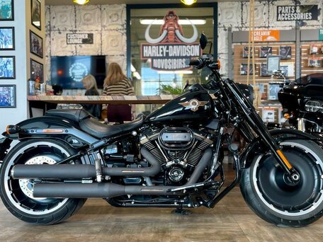 2020 Harley-Davidson Fat Boy, чёрный, 3500000 рублей, вид 2