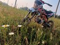 2024 Kayo Basic TT140EM, оранжевый, 79000 рублей