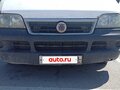 2010 Fiat Professional Ducato, белый, 550000 рублей - вид 4