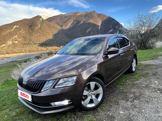 2017 Skoda Octavia III (A7) Рестайлинг, коричневый, 1798888 рублей, вид 3