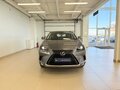 2019 Lexus NX 200 I Рестайлинг, серый - вид 9