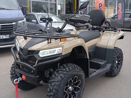 2026 Bison YK450A, бежевый, 599000 рублей, вид 3