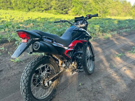 2023 Shineray Adventure 250, чёрный, 135000 рублей, вид 5