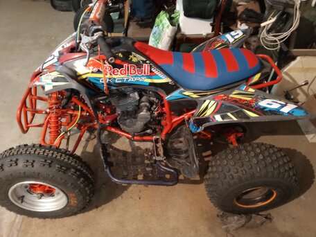 2009 Yamaha Raptor YFM250, красный, 250000 рублей, вид 3