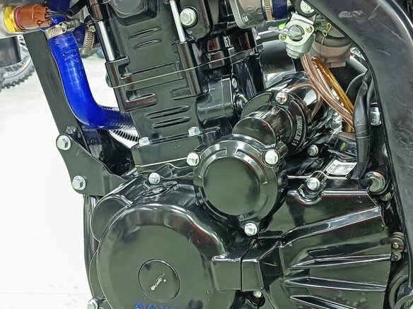 2022 Avantis Enduro 300 Pro/Carb, чёрный, 195000 рублей - вид 2