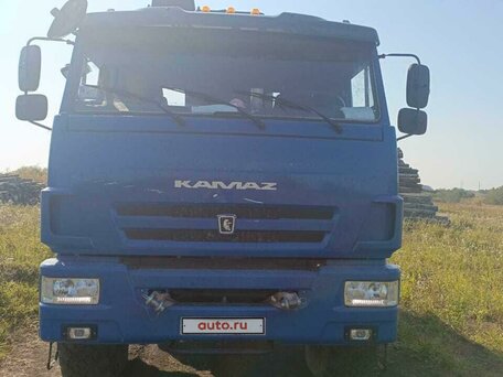 2023 КамАЗ 43118, синий, 12000000 рублей, вид 4