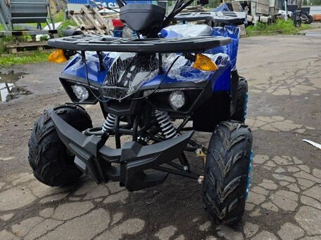 2025 Другие ATV (другие), синий, 110000 рублей, вид 2