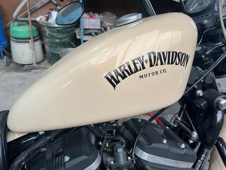 2014 Harley-Davidson Sportster 883, бежевый, 970000 рублей, вид 3