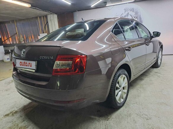 2018 Skoda Octavia III (A7) Рестайлинг, коричневый, 1630000 рублей - вид 5