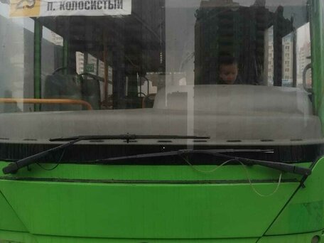 2012 Богдан А-201, зелёный, 500000 рублей, вид 1