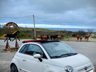 2021 Fiat 500 II Рестайлинг, белый, 2499000 рублей, вид 5