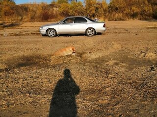 1993 Toyota Vista III (V30), серый, 400000 рублей, вид 5
