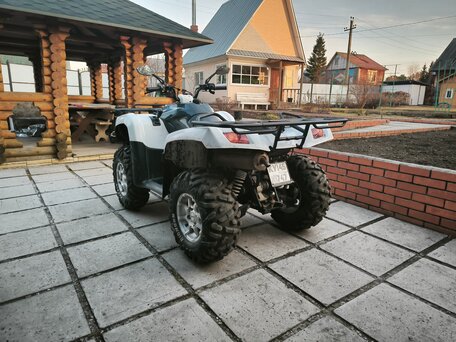 2010 Stels ATV-700, белый, 475000 рублей, вид 4