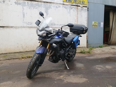 2013 Triumph Tiger 800, синий, 620000 рублей, вид 3