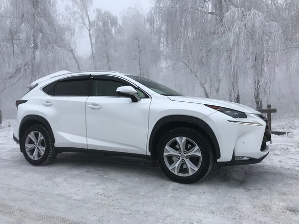 2017 Lexus NX 300 I Рестайлинг, белый - вид 2
