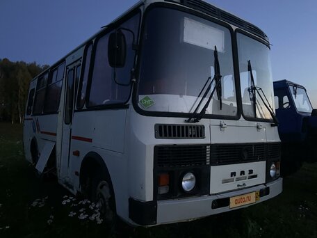 2006 ПАЗ 32053-20, белый, 250000 рублей, вид 1