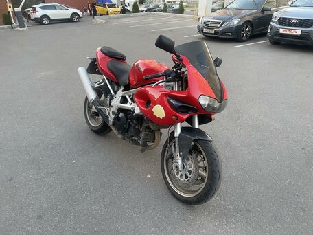1997 Suzuki TL 1000, красный, 330000 рублей, вид 1