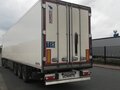 2018 Schmitz Cargobull SKO, белый - вид 1