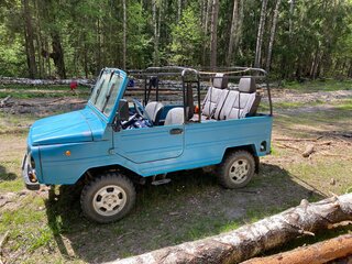 1991 ЛуАЗ 969М, голубой, 630000 рублей, вид 5