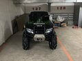 2012 Arctic Cat 700 Series, зелёный - вид 1