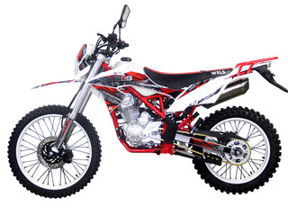 2026 Wels MX250R, красный, 130000 рублей, вид 4