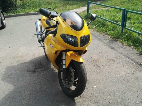 2005 Triumph Daytona 955i, жёлтый, 253285 рублей, вид 3